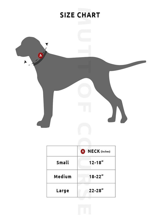 Mutt of Course منديل "مات أوف كورس هاي أون لايف" للكلاب - Image 4